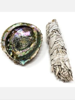 Large Abalone Shell White Sage Smudge Stick Cleansing Set